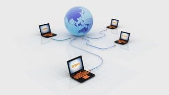 互联网时代下的招投标行业新机遇 数据的价值与潜力